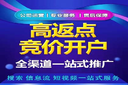 百度竞价排名服务：成功案例解析